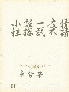 小说一夜情深狼性总裁不请自来txt全集下载