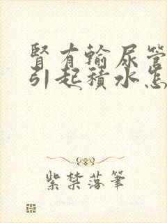 肾有输尿管结石引起积水怎么办