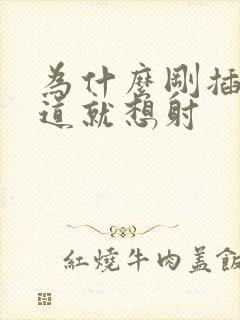 为什么刚插入阴道就想射