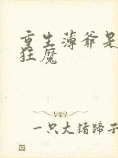 重生薄爷是宠妻狂魔