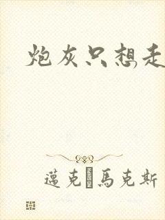 炮灰只想走剧情