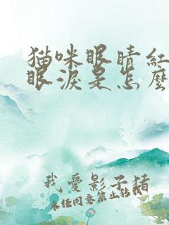 猫咪眼睛红肿流眼泪是怎么回事