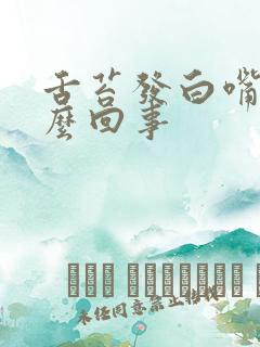 舌苔发白嘴苦怎么回事