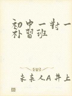 初中一对一物理补习班