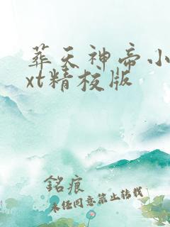 葬天神帝小说txt精校版