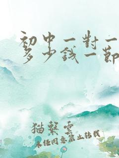 初中一对一辅导多少钱一节课