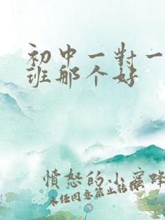 初中一对一补习班那个好