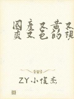 国产又黄又粗又爽又色的视频