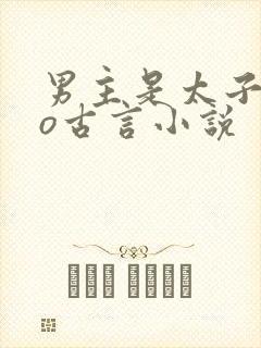 男主是太子的po古言小说