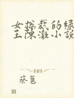 女总裁的绿帽兵王陈澈小说