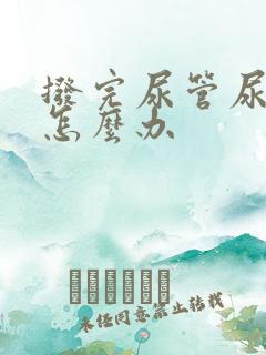 拨完尿管尿不出怎么办