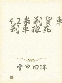 4.2米刹货车刹车抱死