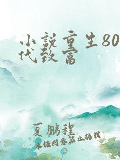 小说重生80年代致富