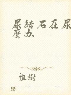 尿结石在尿里怎么办