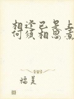 相逢已是上上签何须相思煮余年全诗