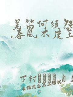 羌笛何须怨杨柳,春风不度玉门关什么意思