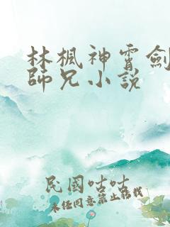 林枫神霄剑宗大师兄小说