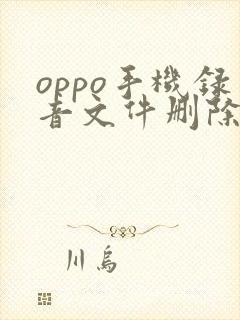 oppo手机录音文件删除一年后了怎么恢复