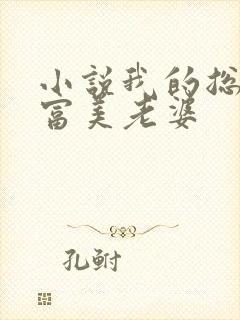 小说我的总裁白富美老婆