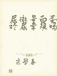 尿微量白蛋白属于尿常规吗