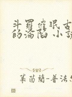 斗罗催眠古月娜的沦陷 小说