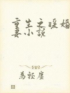 重生之暖婚轻宠妻小说