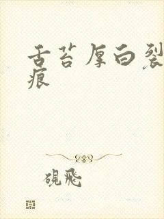 舌苔厚白裂纹齿痕