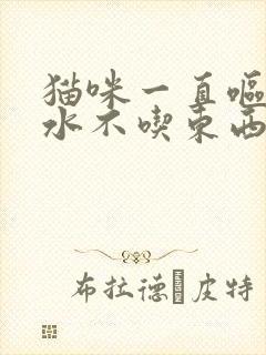 猫咪一直呕吐黄水不吃东西怎么办