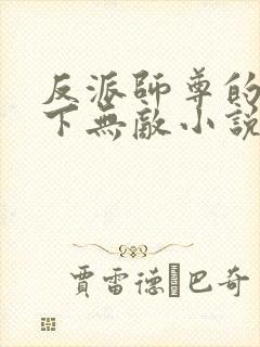 反派师尊的我天下无敌小说