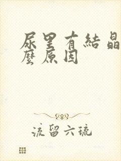 尿里有结晶是什么原因