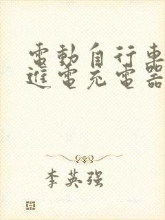 电动自行车充不进电充电器亮绿灯