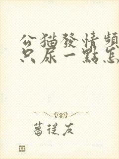 公猫发情频繁尿只尿一点怎么回事