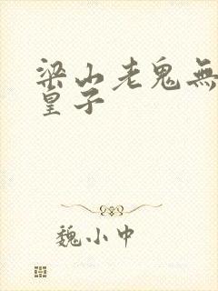 梁山老鬼无敌六皇子