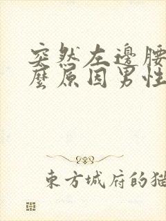 突然左边腰痛什么原因男性