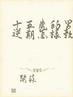 十五岁的男孩叛逆期怎样教育