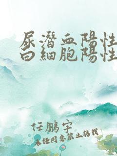 尿潜血阳性,尿白细胞阳性是咋回事