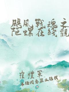 飓风战魂之剑旋陀螺在线观看