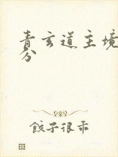 青玄道主境界划分