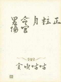 男命月柱正印坐伤官