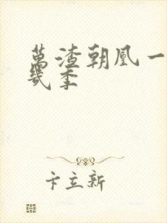 万渣朝凰一共有几季