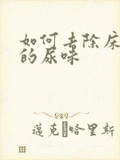 如何去除床垫上的尿味