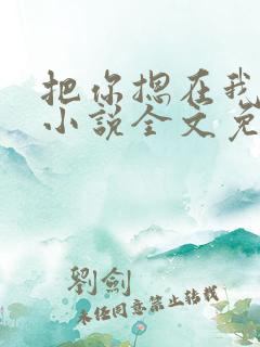 把你摁在我怀中小说全文免费阅读