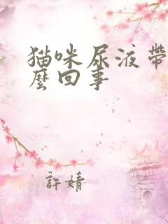 猫咪尿液带血怎么回事