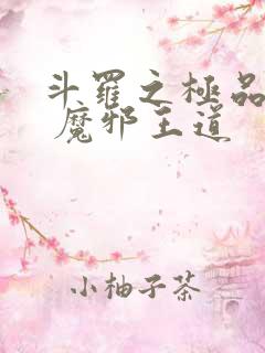 斗罗之极品武魂 魔邪王道