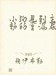 小狗见到主人激动的会漏尿怎么办