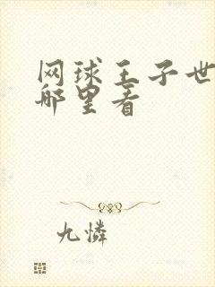 网球王子世界赛哪里看