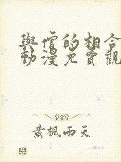 与僧的相合之夜动漫免费观看完整版