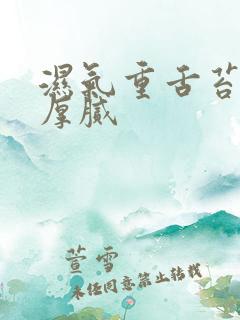 湿气重舌苔发黄厚腻