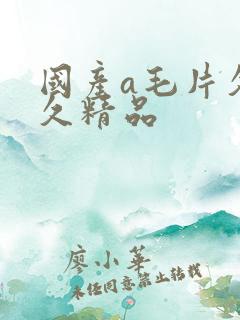 国产a毛片久久久精品