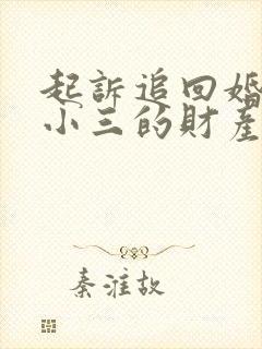 起诉追回婚内给小三的财产